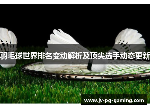 羽毛球世界排名变动解析及顶尖选手动态更新